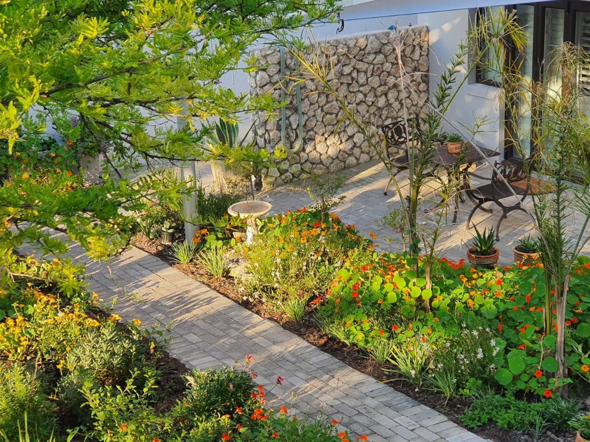 Albatross Guesthouse ランゲバーン エクステリア 写真